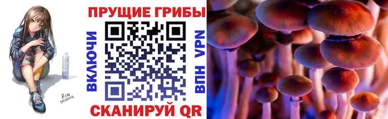 Псилоцибиновые грибы ЛСД Карачев